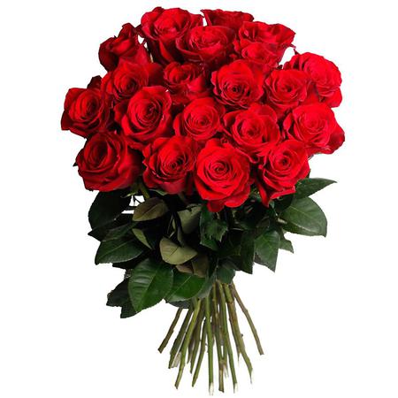 15 роз красных (50 см)