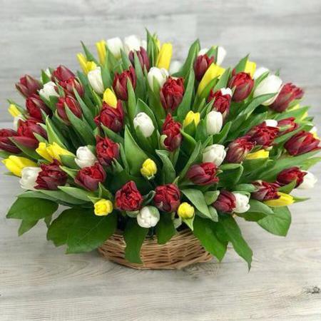 Корзина из 101 разноцветного тюльпана